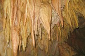 Пещера МАН нв 2008 061